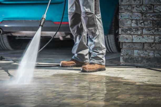 Best Graffiti Removal  in Seneca, IL
