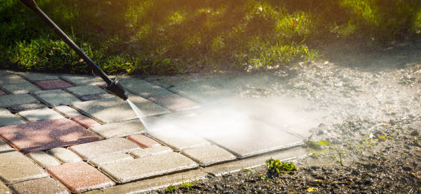 Best Roof Washing  in Seneca, IL